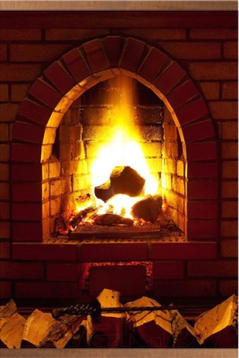 Инфракрасный обогреватель БРТЗ 17с411 - фото