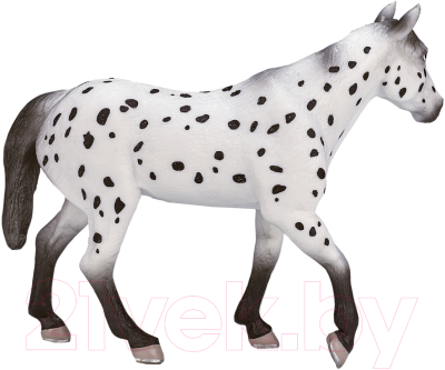 Фигурка коллекционная Konik Аппалузский жеребец / AMF1038