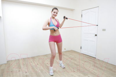 Эспандер Pro-Supra 1801