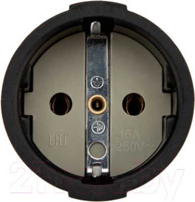 Розетка Rexant 11-8529