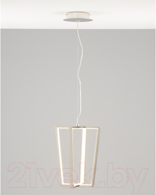 Потолочный светильник Moderli Grape / V10352-PL