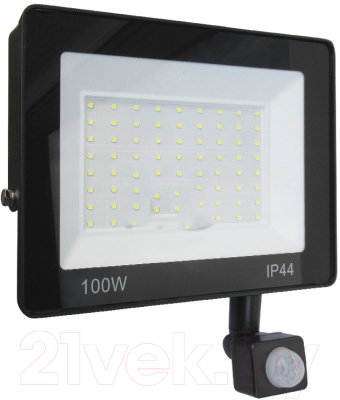 Прожектор КС LED TV-606(D)-100W-6500K-IP44 - фото