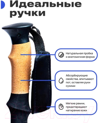 Палки для скандинавской ходьбы RoadLike Carbon / 381223
