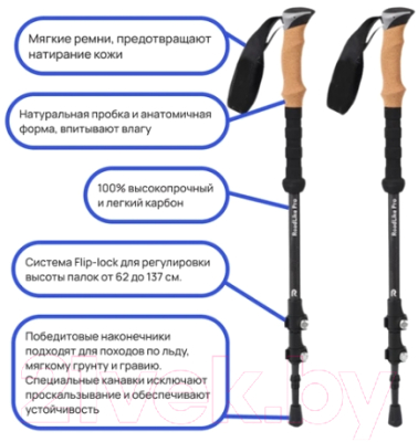 Палки для скандинавской ходьбы RoadLike Carbon / 381223