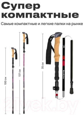 Палки для скандинавской ходьбы RoadLike Carbon / 368219