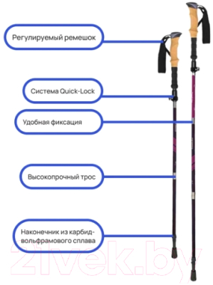 Палки для скандинавской ходьбы RoadLike Carbon / 368219