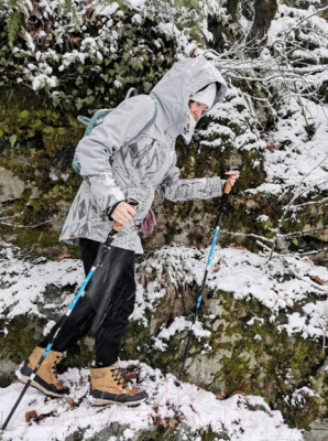 Палки для скандинавской ходьбы RoadLike Carbon / 368219