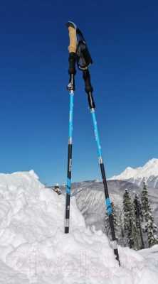 Палки для скандинавской ходьбы RoadLike Carbon / 368219