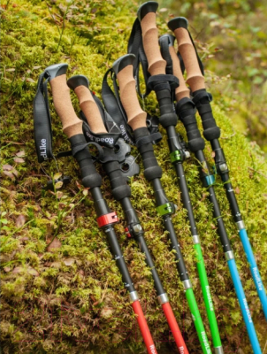 Палки для скандинавской ходьбы RoadLike Carbon / 368219