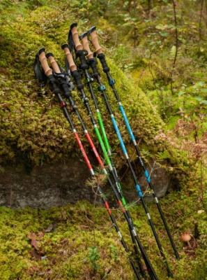 Палки для скандинавской ходьбы RoadLike Carbon / 368219