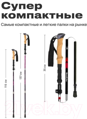 Трекинговые палки RoadLike Carbon / 368220