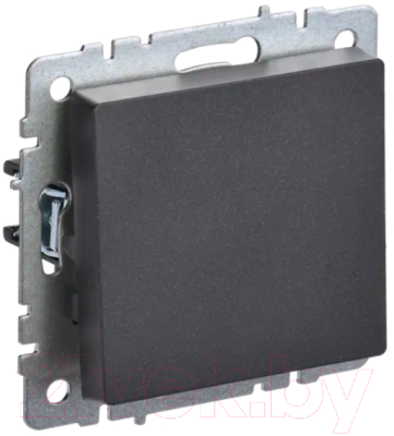 Выключатель IEK Brite BR-V12-0-10-K02 - фото