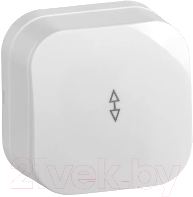 Выключатель IEK Glory EVH12-K01-10 - фото