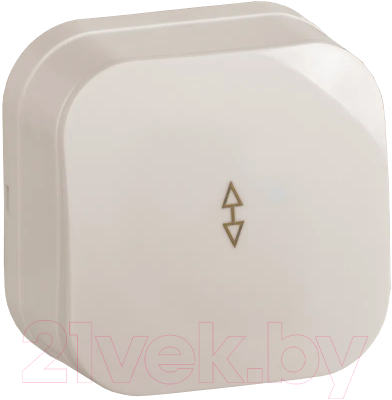 Выключатель IEK Glory EVH12-K33-10 - фото