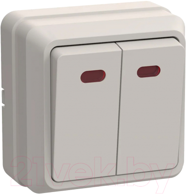 Выключатель IEK Октава EVO21-K33-10-DC - фото