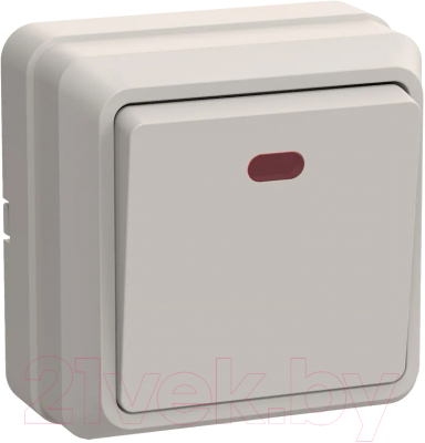 Выключатель IEK Октава EVO11-K33-10-DC - фото