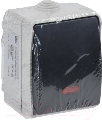 Выключатель IEK Форс EVS11-K03-10-54-DC