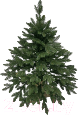 Ель искусственная Maxy Poland Диора литая - фото
