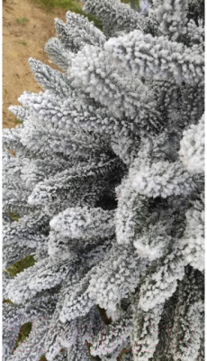 Ель искусственная Maxy Poland Платиновая заснеженная с литыми ветками