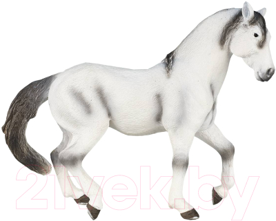 Фигурка коллекционная Konik Андалузский жеребец / AMF1049 - фото