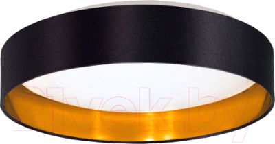 Потолочный светильник Eglo Maserlo 2 / 99539 - фото