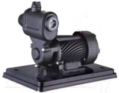 Насосная станция Pumpman TGP125N - фото