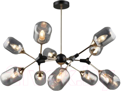 Потолочный светильник Mirastyle SX-4857/10 BK+FG - фото