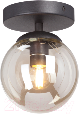 Потолочный светильник Vitaluce V3962-1/1PL - фото