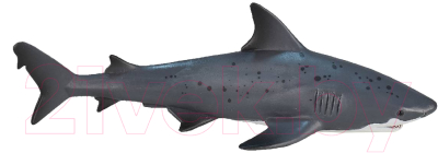 Фигурка коллекционная Konik Тупорылая акула / AMS3009