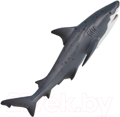 Фигурка коллекционная Konik Тупорылая акула / AMS3009