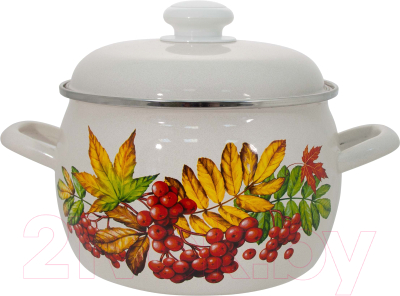 Кастрюля Лысьвенские эмали Рябина 4213АП2/4 - фото