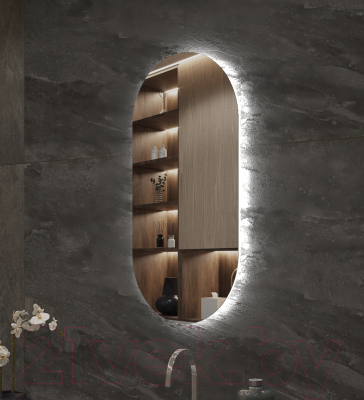 Зеркало Пекам Iva Fly 52.5x102.5 / IvaFly-52.5x102.5 (с подсветкой, с механической клавишей включения)