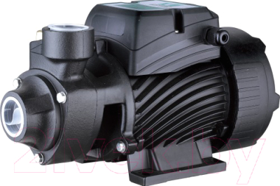 Насосная станция Pumpman QB80N - фото