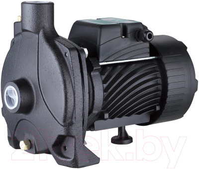 Центробежный насос Pumpman TCP170 - фото