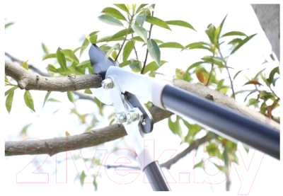 Сучкорез механический TOTAL THT1527608