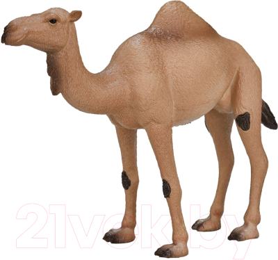 Фигурка коллекционная Konik Одногорбый верблюд / AMW2056 - фото