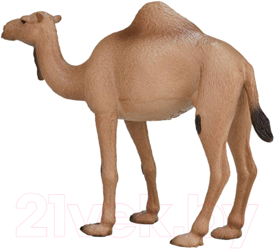 Фигурка коллекционная Konik Одногорбый верблюд / AMW2056