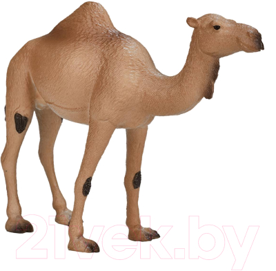 Фигурка коллекционная Konik Одногорбый верблюд / AMW2056