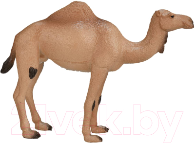 Фигурка коллекционная Konik Одногорбый верблюд / AMW2056