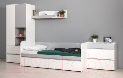 Шкаф Mobi Торонто 13.333