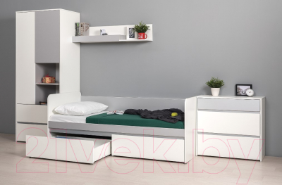 Шкаф Mobi Торонто 13.333