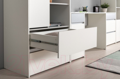 Шкаф Mobi Торонто 13.333