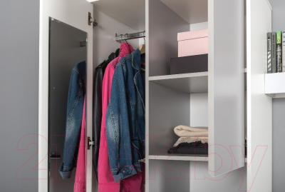 Шкаф Mobi Торонто 13.333