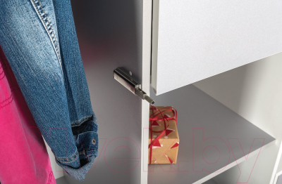 Шкаф Mobi Торонто 13.333