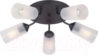 Люстра Vitaluce V3762-1/5PL - фото