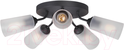 Люстра Vitaluce V3762-1/5PL