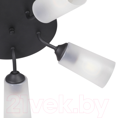 Люстра Vitaluce V3762-1/5PL