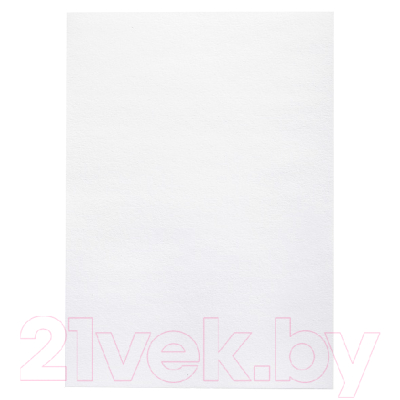 Папка для черчения Hatber Архитектура / 10Бч4A_11033