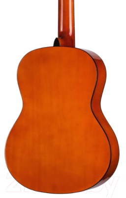 Акустическая гитара Homage LC-3900-N