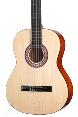Акустическая гитара Homage LC-3900-N